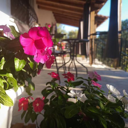 Vergia Studios Sozopoli Exteriér fotografie