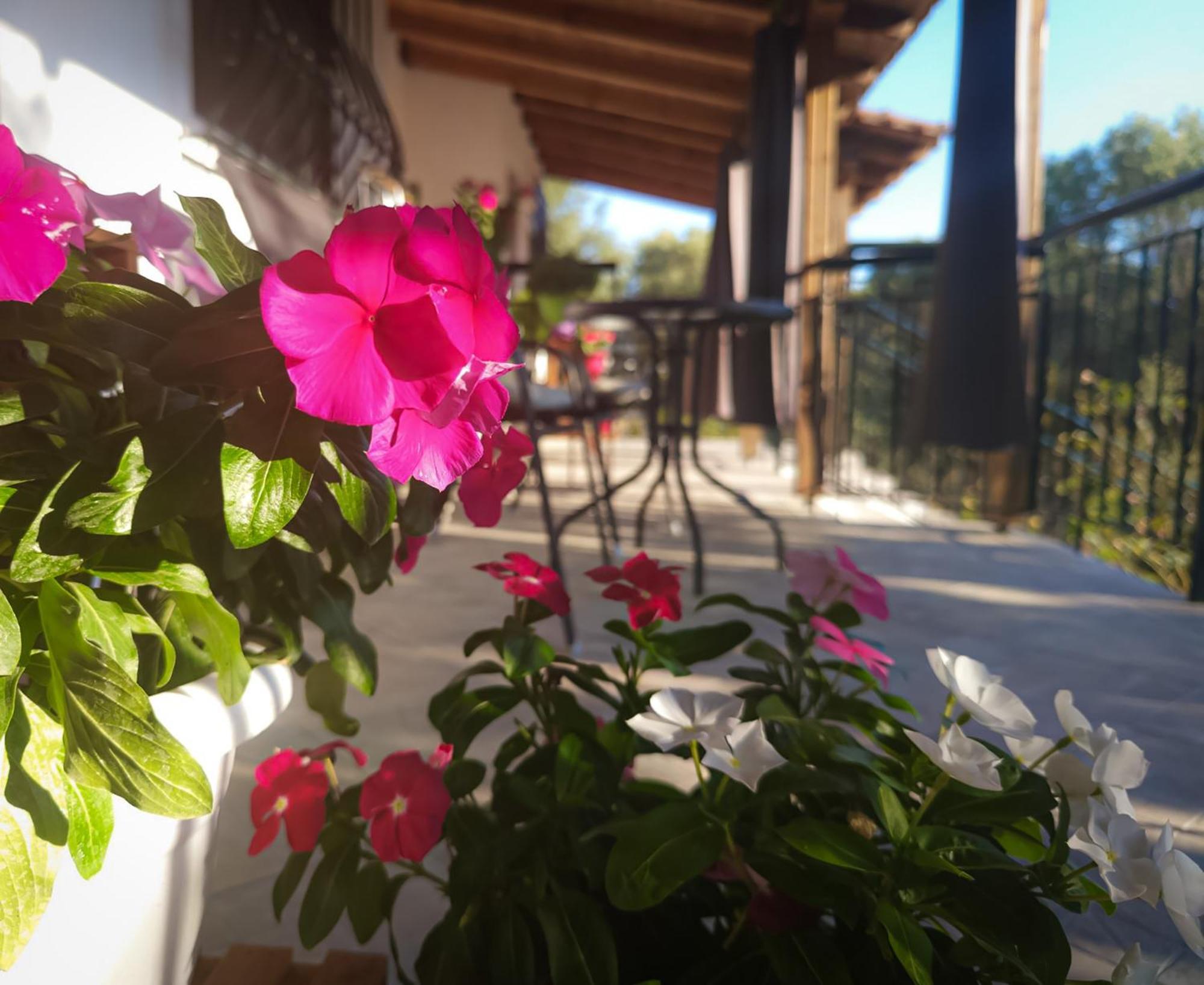 Vergia Studios Sozopoli Exteriér fotografie
